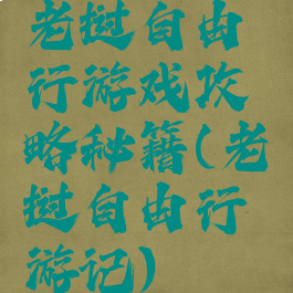 老挝自由行游戏攻略秘籍(老挝自由行游记)