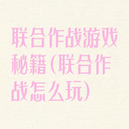 联合作战游戏秘籍(联合作战怎么玩)
