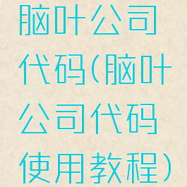 脑叶公司代码(脑叶公司代码使用教程)