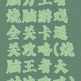脑力王者烧脑游戏全关卡通关攻略(烧脑王者大对决攻略)