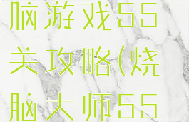 脑力王者烧脑游戏55关攻略(烧脑大师55关全攻略)