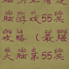 脑力王者烧脑游戏55关攻略(最强大脑第55关)