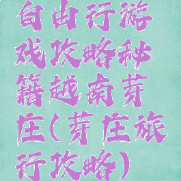 自由行游戏攻略秘籍越南芽庄(芽庄旅行攻略)