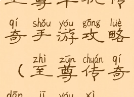 至尊单机传奇手游攻略(至尊传奇单机游戏)