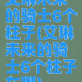 艾琳未来的骑士6个柱子(艾琳未来的骑士6个柱子在哪)