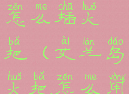 艾兰岛墙上怎么插火把(艾兰岛火把怎么用)