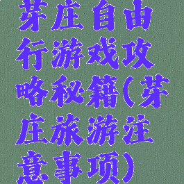 芽庄自由行游戏攻略秘籍(芽庄旅游注意事项)