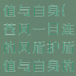 苍风一目连的风盾护盾值与自身(苍风一目连的风盾护盾值与自身的哪个属性相关)