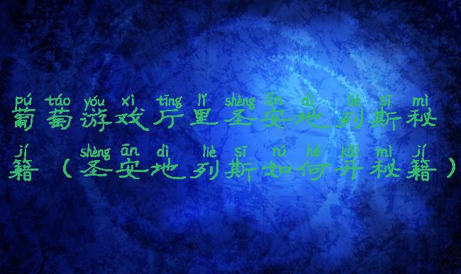 葡萄游戏厅里圣安地列斯秘籍(圣安地列斯如何开秘籍)