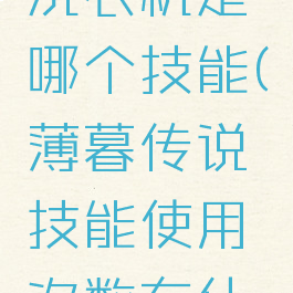 薄暮传说洗衣机是哪个技能(薄暮传说技能使用次数有什么用)