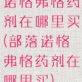 诺格弗格药剂在哪里买(部落诺格弗格药剂在哪里买)