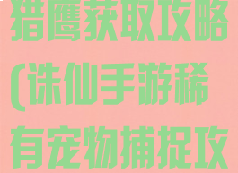 诛仙手游稀有猎鹰获取攻略(诛仙手游稀有宠物捕捉攻略)