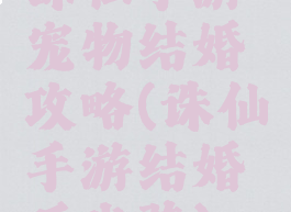 诛仙手游宠物结婚攻略(诛仙手游结婚后坐骑)
