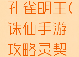 诛仙手游攻略灵契孔雀明王(诛仙手游攻略灵契孔雀明王技能)