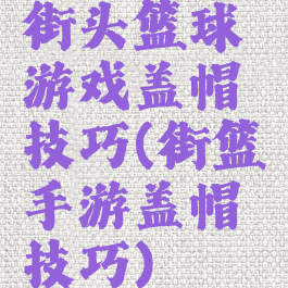 街头篮球游戏盖帽技巧(街篮手游盖帽技巧)