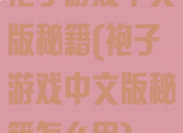袍子游戏中文版秘籍(袍子游戏中文版秘籍怎么用)