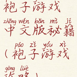 袍子游戏中文版秘籍(袍子游戏攻略)