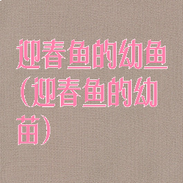 迎春鱼的幼鱼(迎春鱼的幼苗)