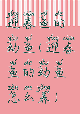 迎春鱼的幼鱼(迎春鱼的幼鱼怎么养)