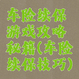 车险续保游戏攻略秘籍(车险续保技巧)