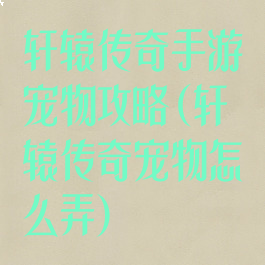 轩辕传奇手游宠物攻略(轩辕传奇宠物怎么弄)