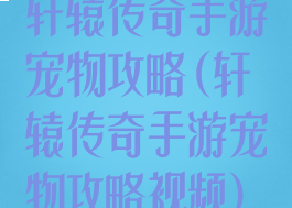 轩辕传奇手游宠物攻略(轩辕传奇手游宠物攻略视频)