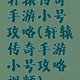 轩辕传奇手游小号攻略(轩辕传奇手游小号攻略视频)