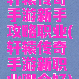 轩辕传奇手游新手攻略职业(轩辕传奇手游新职业哪个好)