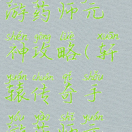 轩辕传奇手游药师元神攻略(轩辕传奇手游药师元神攻略图)
