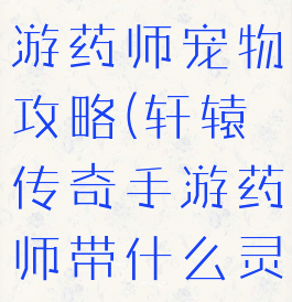 轩辕传奇手游药师宠物攻略(轩辕传奇手游药师带什么灵宠)