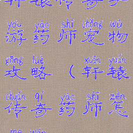 轩辕传奇手游药师宠物攻略(轩辕传奇药师怎么玩)
