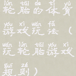 轮胎的体育游戏玩法(玩轮胎游戏规则)