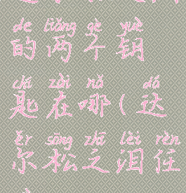 达尔松之泪的两个钥匙在哪(达尔松之泪任务)