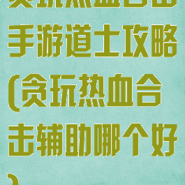 贪玩热血合击手游道士攻略(贪玩热血合击辅助哪个好)