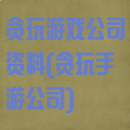 贪玩游戏公司资料(贪玩手游公司)