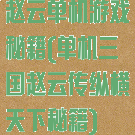赵云单机游戏秘籍(单机三国赵云传纵横天下秘籍)