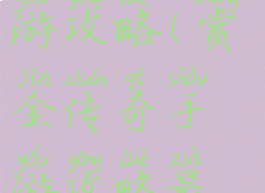 赏金传奇手游攻略(赏金传奇手游攻略最新)