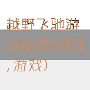 越野飞驰游戏秘籍(越野,游戏)