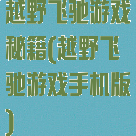 越野飞驰游戏秘籍(越野飞驰游戏手机版)
