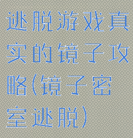 逃脱游戏真实的镜子攻略(镜子密室逃脱)