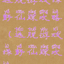 逃脱游戏绿野仙踪攻略(逃脱游戏绿野仙踪攻略)