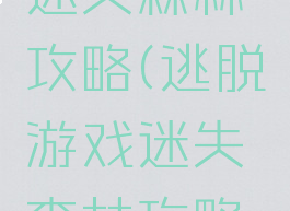 逃脱游戏迷失森林攻略(逃脱游戏迷失森林攻略视频)