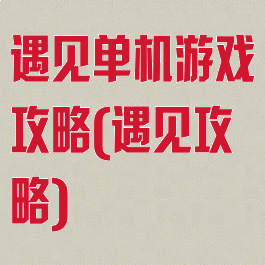 遇见单机游戏攻略(遇见攻略)
