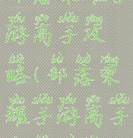 部落荣耀手游高手攻略(部落荣耀手游高手攻略最新)
