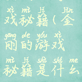金刚的游戏秘籍(金刚的游戏秘籍是什么)