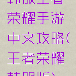 韩服王者荣耀手游中文攻略(王者荣耀韩服版)