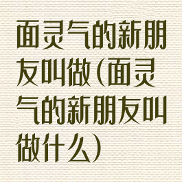 面灵气的新朋友叫做(面灵气的新朋友叫做什么)