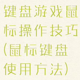 键盘游戏鼠标操作技巧(鼠标键盘使用方法)