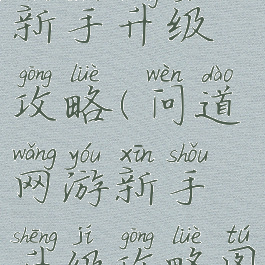 问道网游新手升级攻略(问道网游新手升级攻略图)