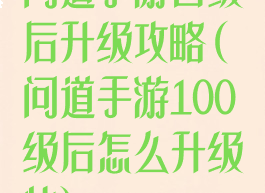 问道手游百级后升级攻略(问道手游100级后怎么升级快)